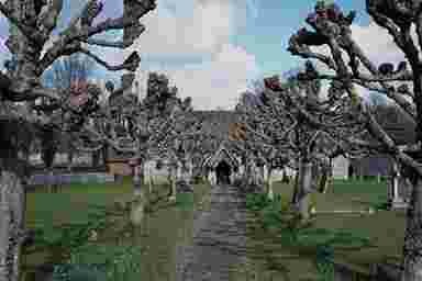 decor naturel,woom agence lieux,lieu prises de vues,